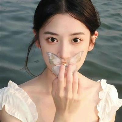 直言真相第三季